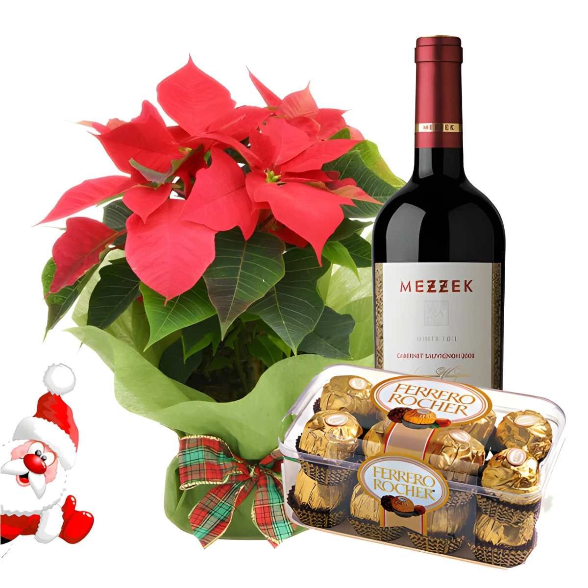 Send Poinsettia and gifts