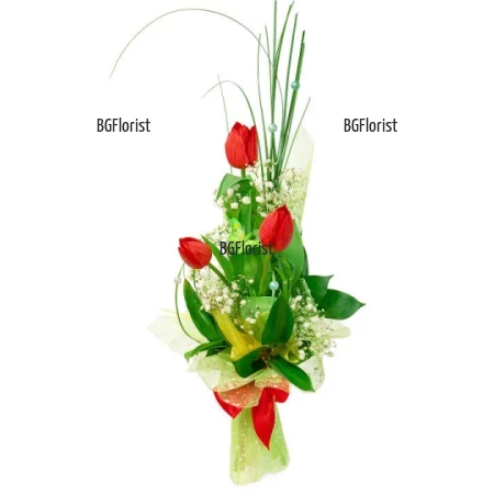 A bouquet of three tulips