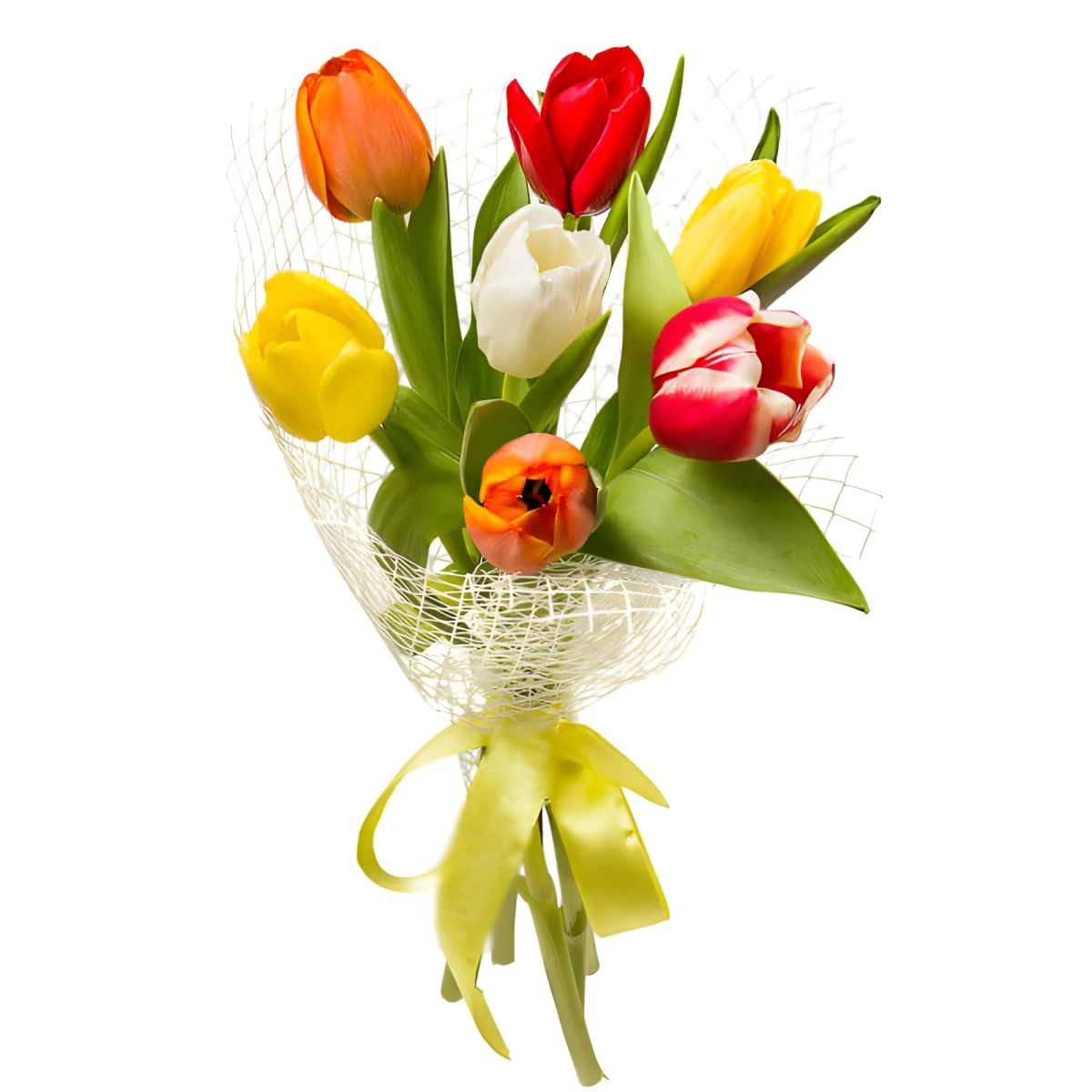 Send tulips to Bulgaria