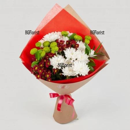 Online order and send to Bulgaria chrysanthemums bouquet