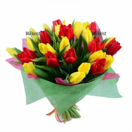 Bouquet of tulips Warmth