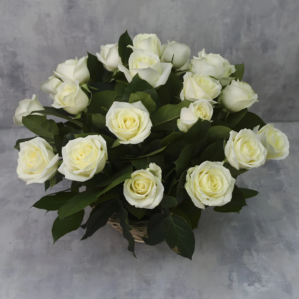 Send to Bulgaria basket with 25 white roses