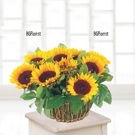 Basket with 11 Sunflowers Sunny Delight