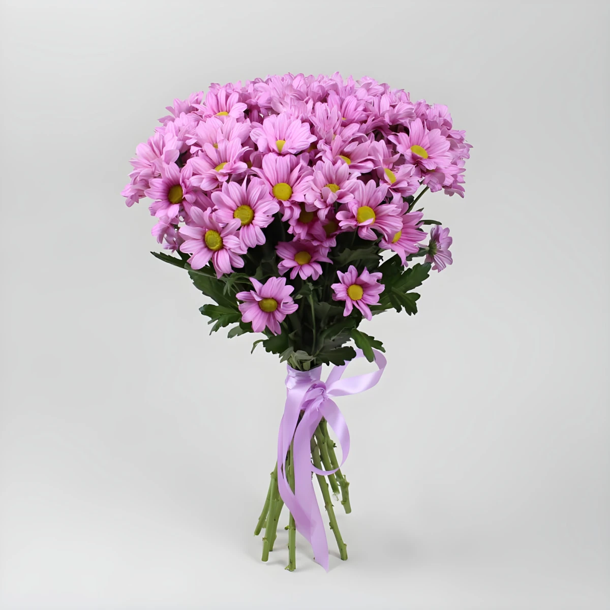 Send 11 chrysanthemums to Varna Bulgaria